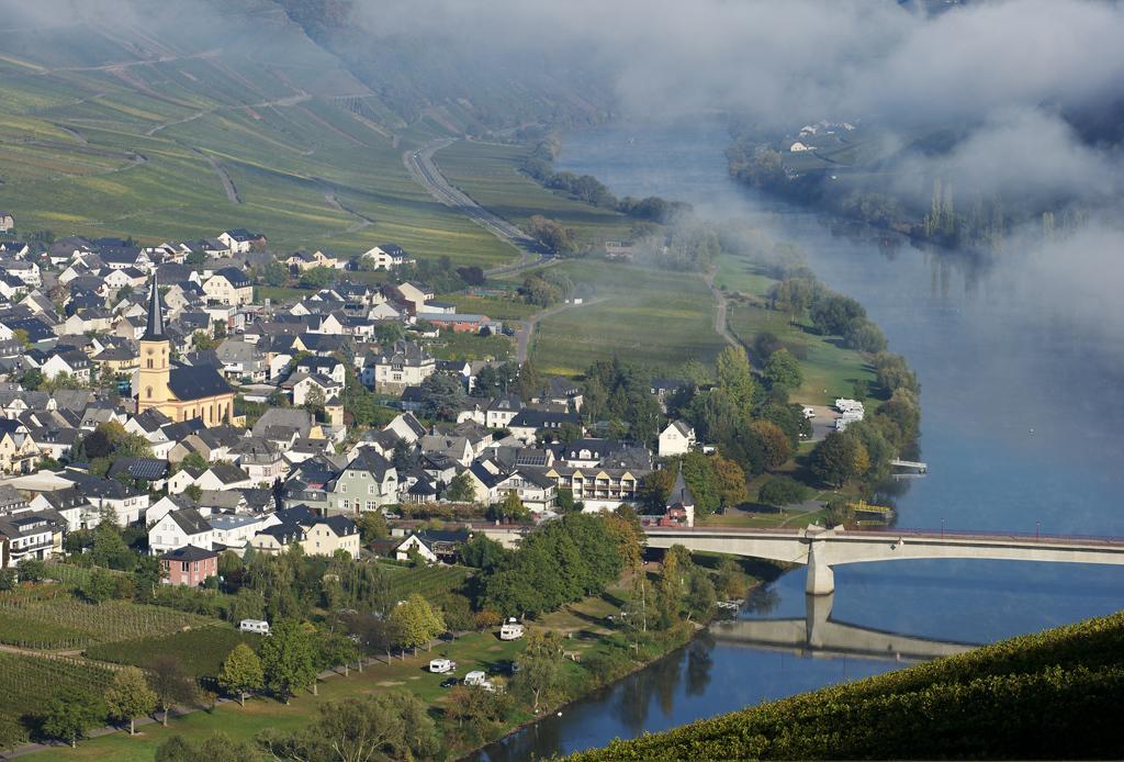 Weingut & Gaestehaus Edwin Hoffmann Trittenheim Bagian luar foto