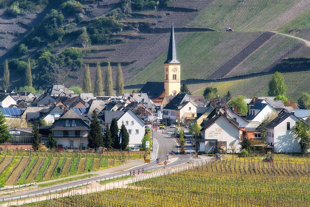 Weingut & Gaestehaus Edwin Hoffmann Trittenheim Bagian luar foto