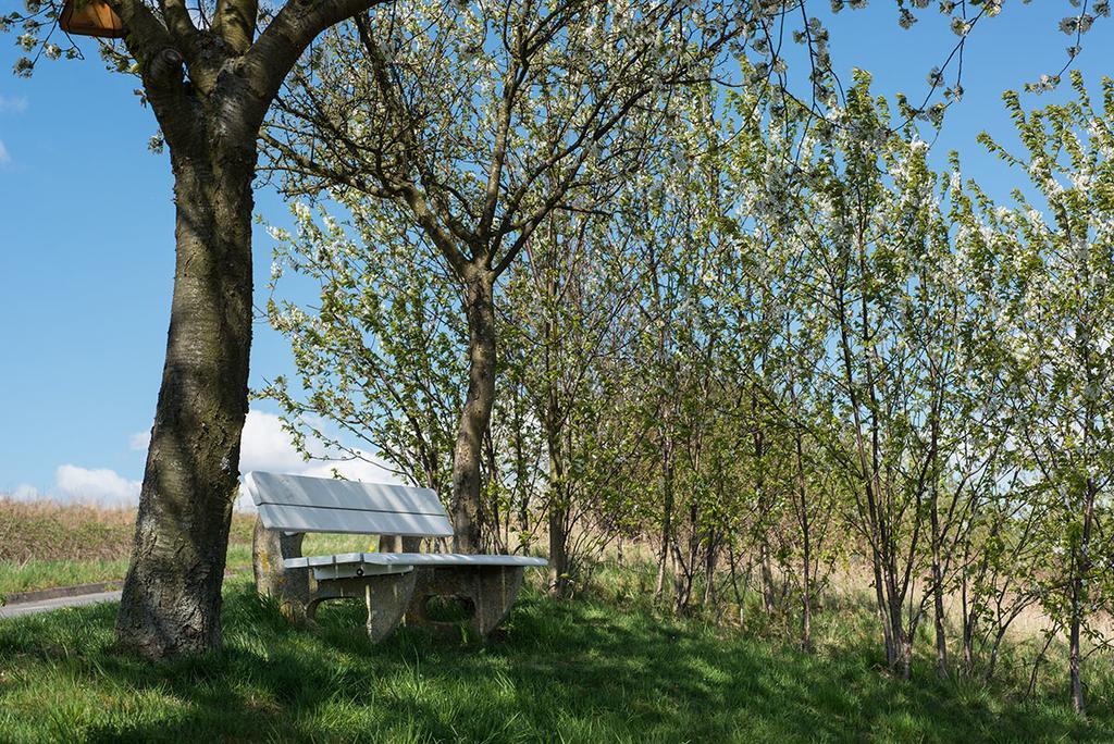 Weingut & Gaestehaus Edwin Hoffmann Trittenheim Bagian luar foto