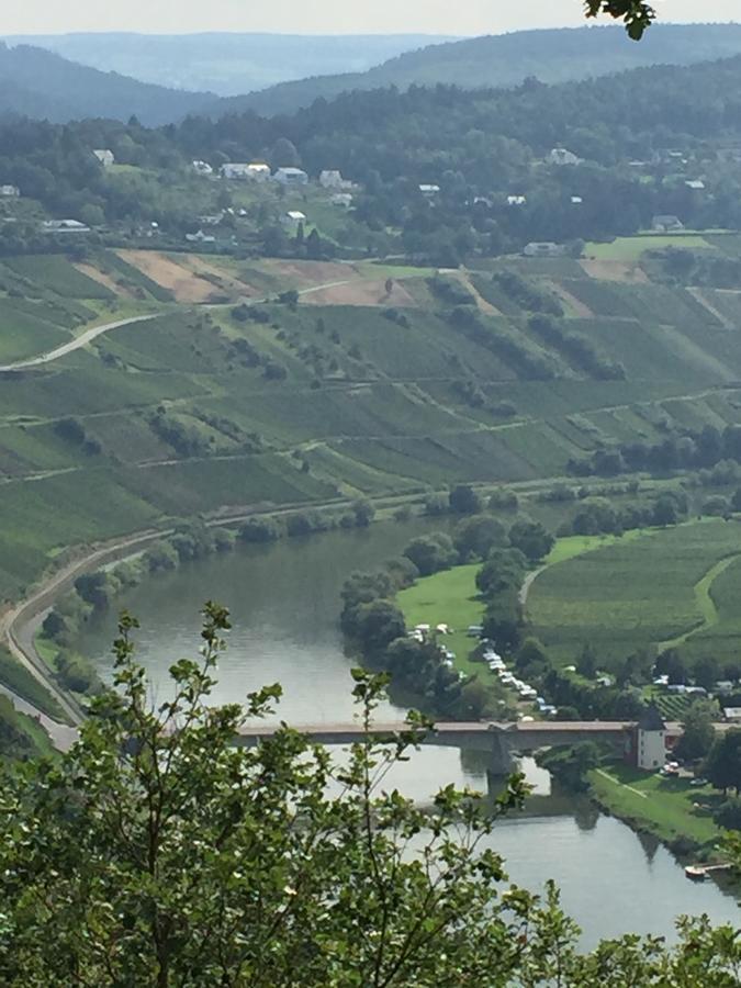 Weingut & Gaestehaus Edwin Hoffmann Trittenheim Bagian luar foto
